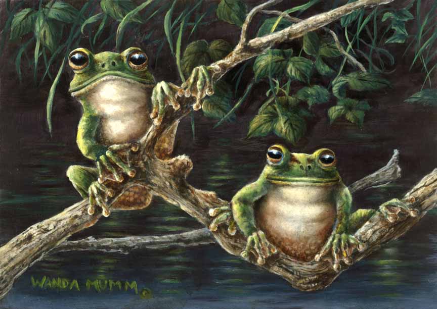 WM – 6Critters – Frogs © Wanda Mumm