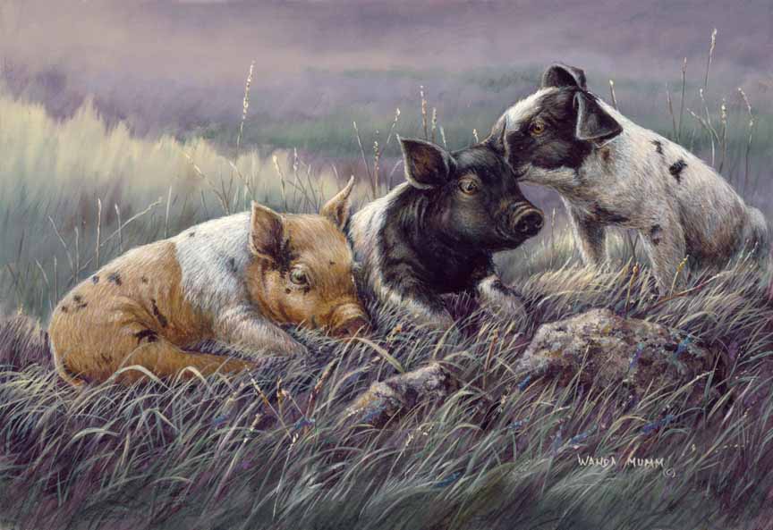 WM – 6Critters – Three Little Pigs © Wanda Mumm