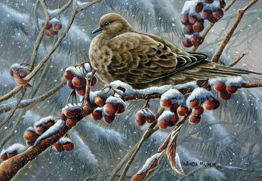 WM – 6Critters – Winter Friends – Dove © Wanda Mumm