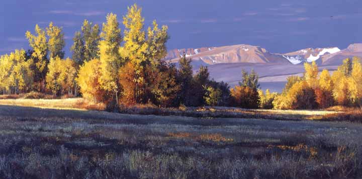 AK – Autumn Meadow © Andrew Kiss