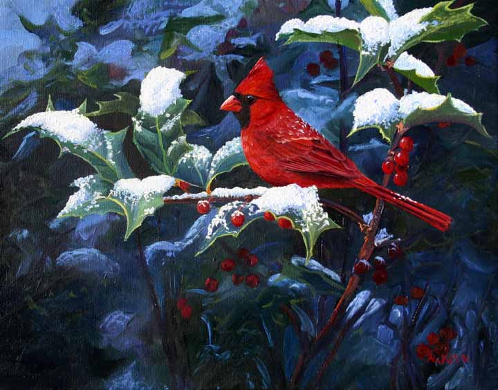 AK – Cardinal and Holly 90148 © Andrew Kiss