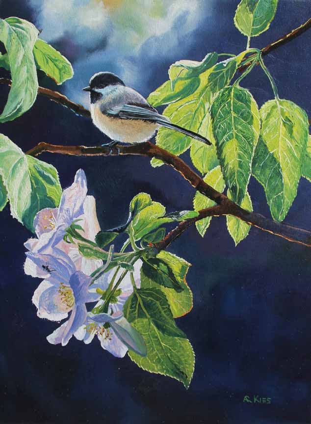 AK – Chickadee and Plum Blossoms 99044 © Andrew Kiss