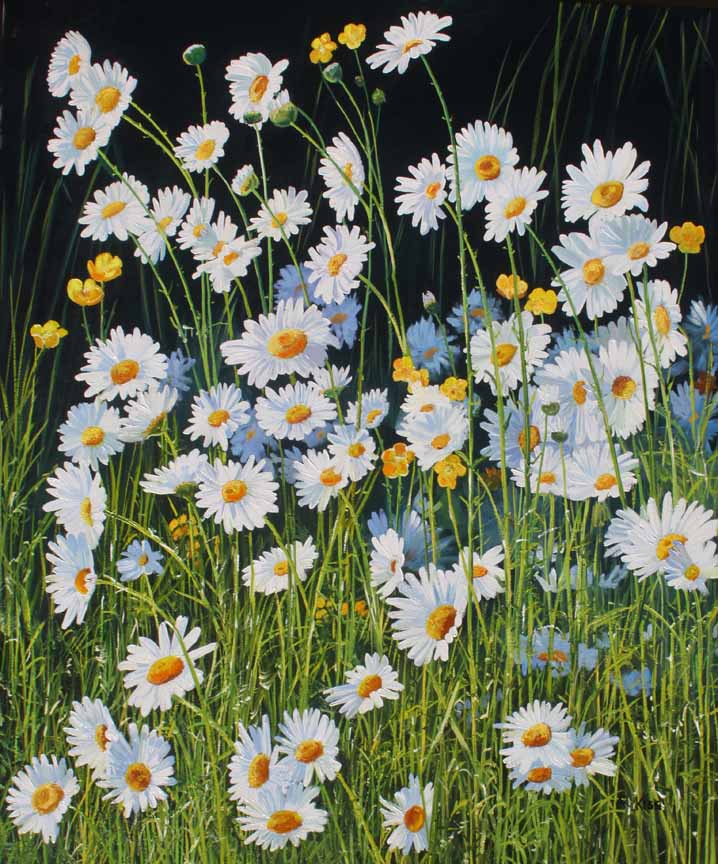 AK – Daisies and Buttercups 10054 © Andrew Kiss