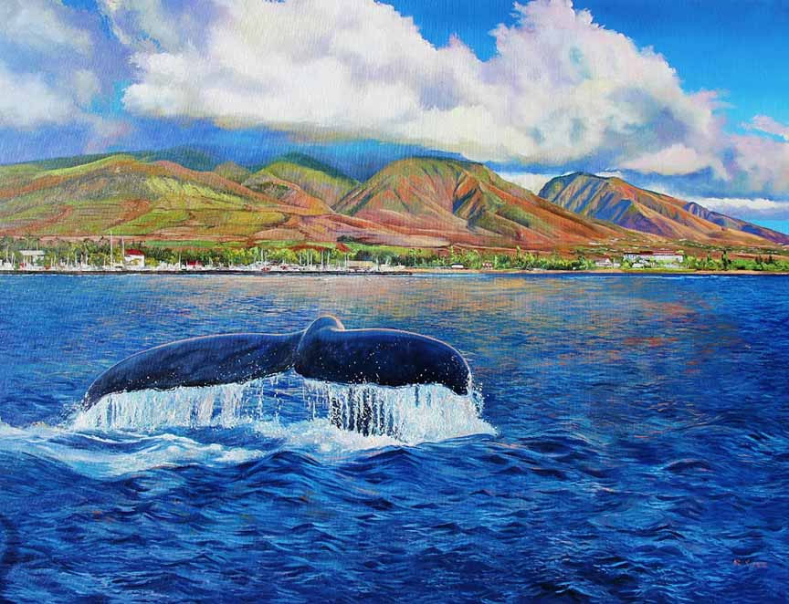 AK – Kohola – Humpback Whale 98008 © Andrew Kiss