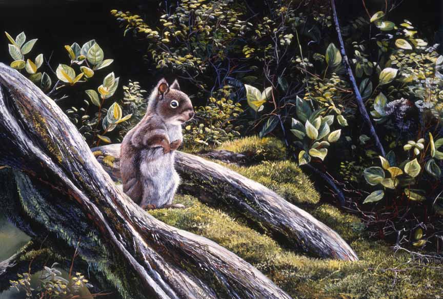 AK – Squirrel © Andrew Kiss