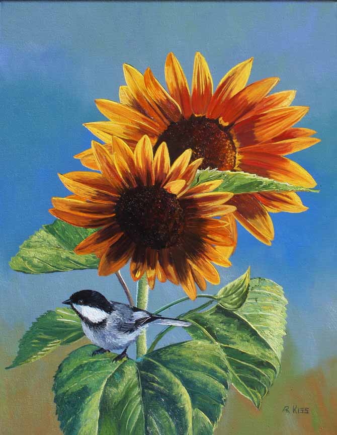 AK – Sunflower and Chickadee 10051 © Andrew Kiss