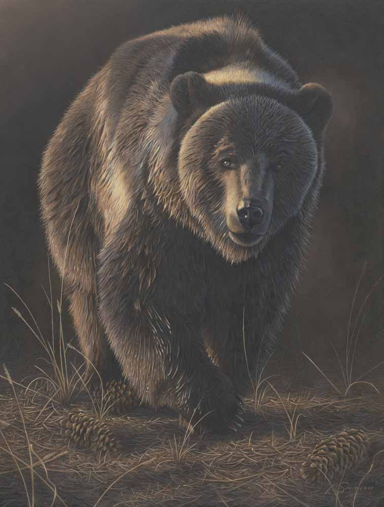 AS – 1North American – Grizzly 2 © Adam Smith