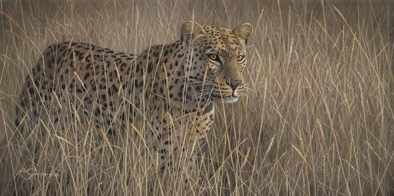 AS – African – In the Tall Grass © Adam Smith
