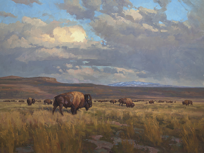 CP – Bison in Landscape © Chad Poppleton