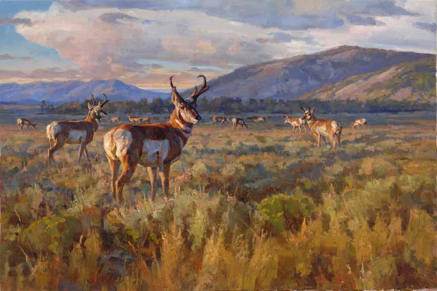 CP – Sundown on Antelope Flats © Chad Poppleton