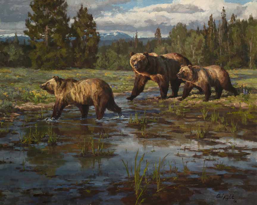 CP – Three Bears © Chad Poppleton