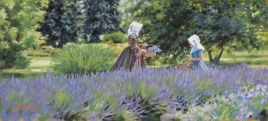 HP – Picking Lavender © Heide Presse