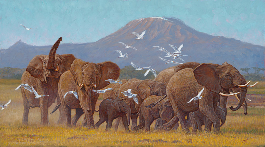 JB – Land of Elephants © John Banovich