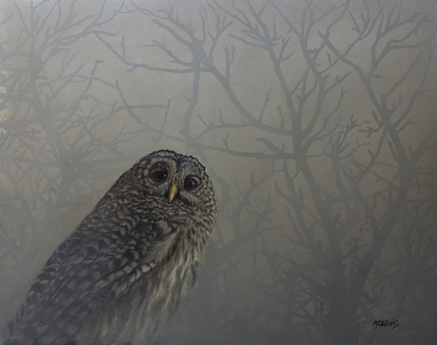 JQL – In a Veil of Fog © Jhenna Quinn Lewis