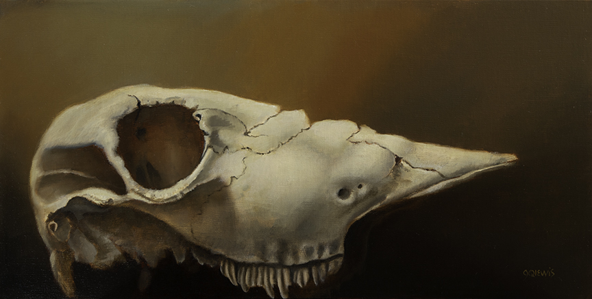 JQL – Skull Study © Jhenna Quinn Lewis