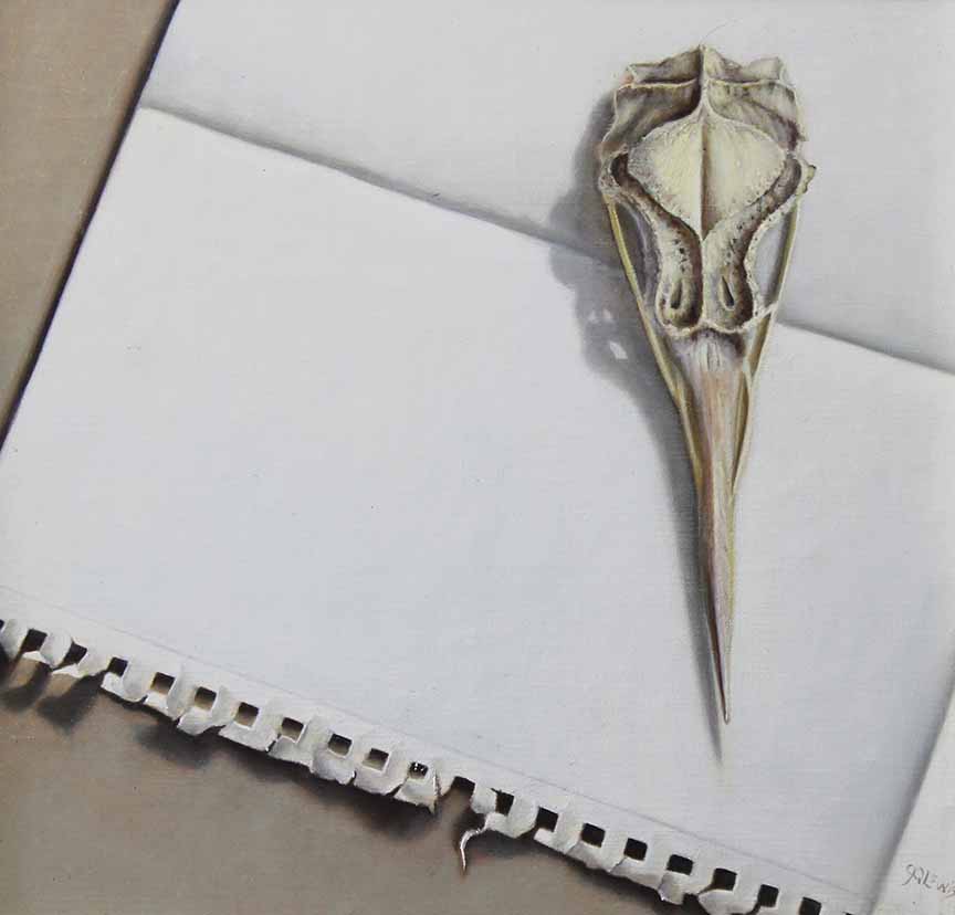 JQL – Study of Bird Skull with drawing paper © Jhenna Quinn Lewis