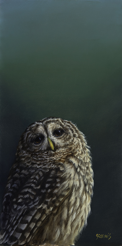 JQL – The Owl and Twilight © Jhenna Quinn Lewis