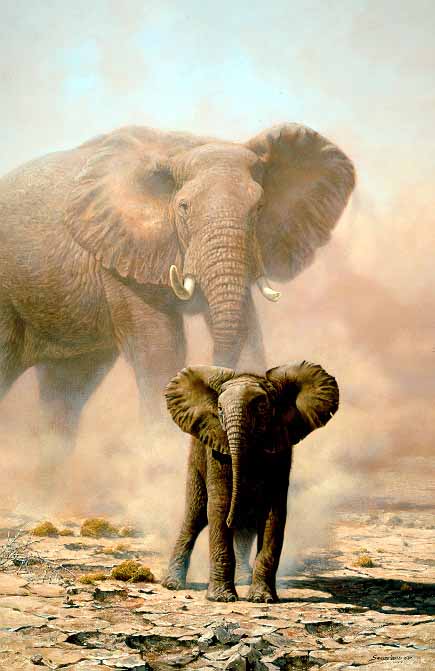 JSL – 1Wildlife – Amboseli Child – African Elephant © John Seerey-Lester