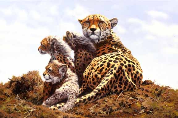 JSL – 1Wildlife – Cheetah Family © John Seerey-Lester