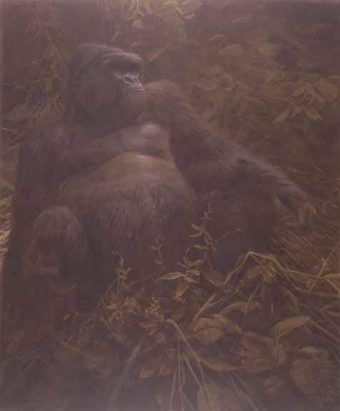 JSL – 1Wildlife – Dark Presence – Gorilla © John Seerey-Lester