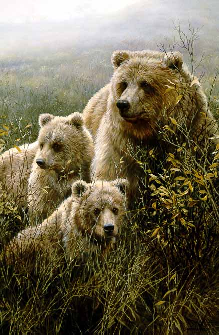 JSL – 1Wildlife – Denali Family – Grizzly Bears © John Seerey-Lester