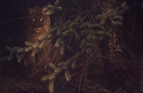 JSL – 1Wildlife – Distant Light – Cougar © John Seerey-Lester