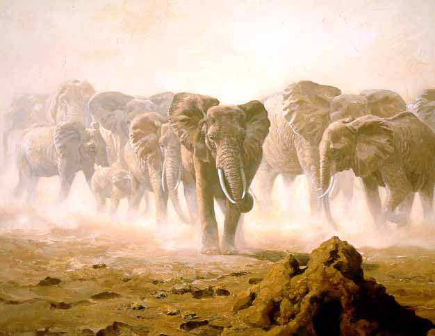JSL – 1Wildlife – Dry Season – African Elephants © John Seerey-Lester