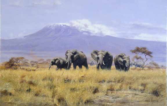 JSL – 1Wildlife – Elephant Family – Kilamanjaro © John Seerey-Lester
