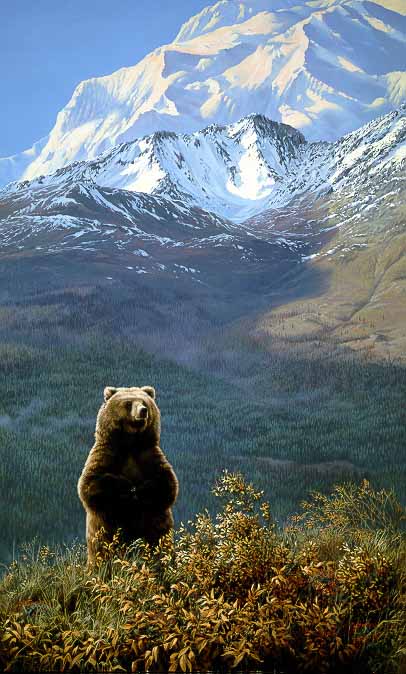 JSL – 1Wildlife – High Country Champion – Grizzly © John Seerey-Lester