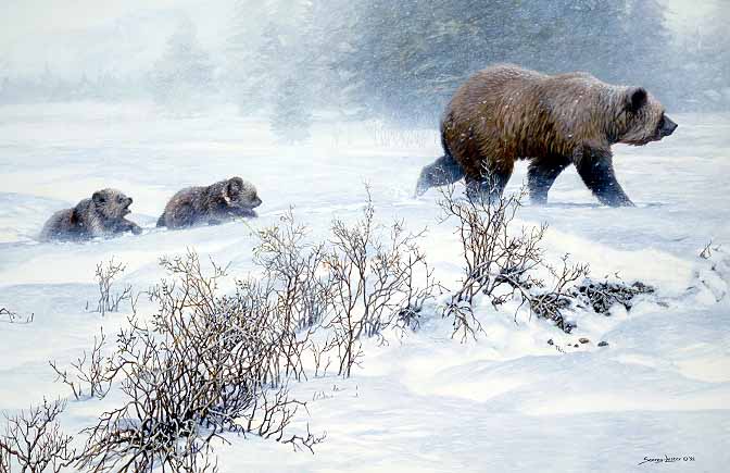 JSL – 1Wildlife – Keeping Pace – Grizzly with Cubs © John Seerey-Lester