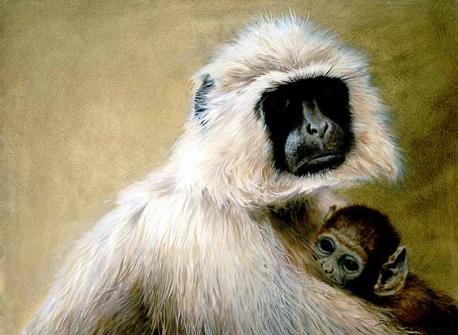 JSL – 1Wildlife – Langur Monkey with Young © John Seerey-Lester