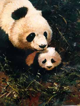 JSL – 1Wildlife – Panda with Cub © John Seerey-Lester