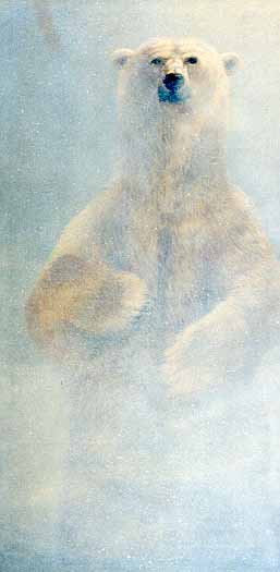 JSL – 1Wildlife – Polar Bear standing © John Seerey-Lester