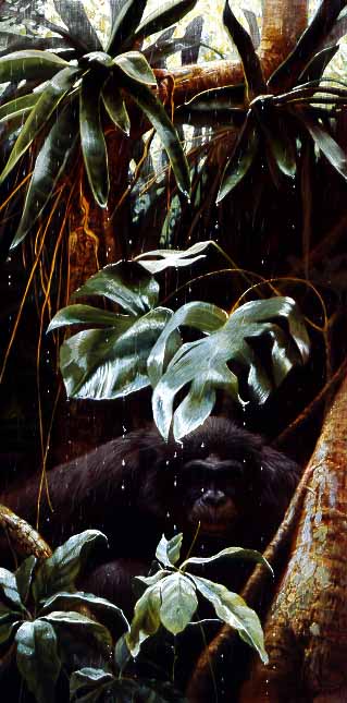 JSL – 1Wildlife – Pygmy Chimpanzee © John Seerey-Lester