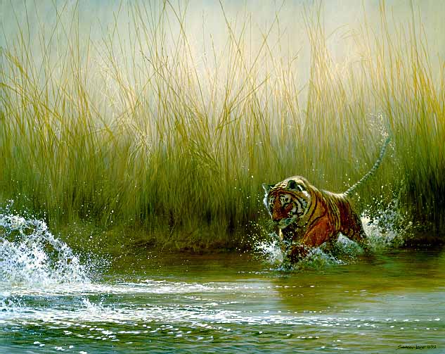 JSL – 1Wildlife – Ranthambore Rush – Tiger © John Seerey-Lester