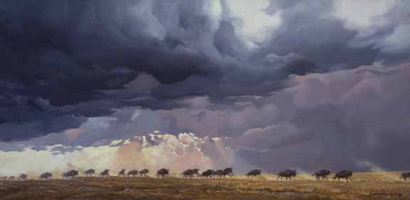 JSL – 1Wildlife – Thunderstorm Migration © John Seerey-Lester