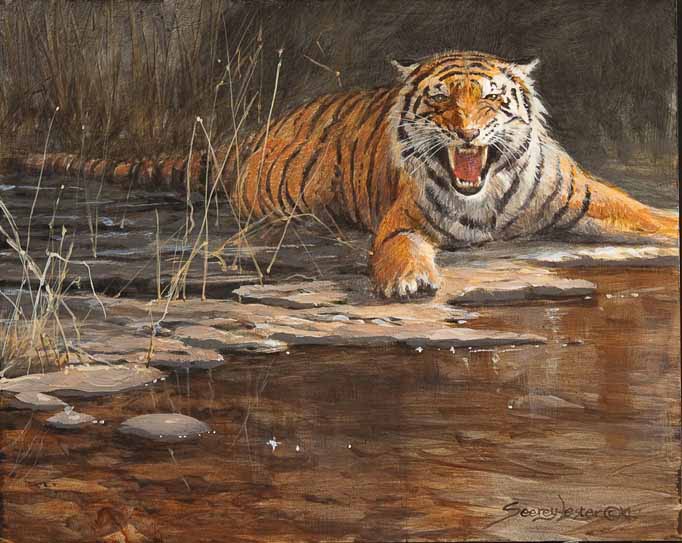 JSL – 1Wildlife – Tiger Fear © John Seerey-Lester