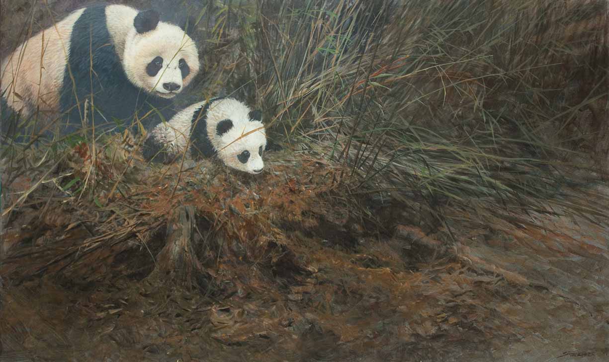 JSL – 1Wildlife – Venturing Forth – Pandas © John Seerey-Lester