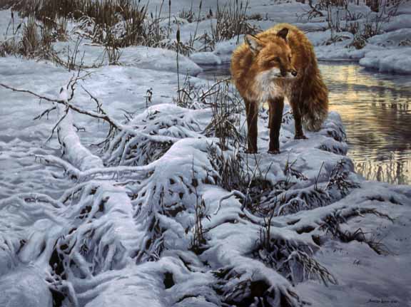 JSL – 1Wildlife – Winter Evening – Red Fox © John Seerey-Lester