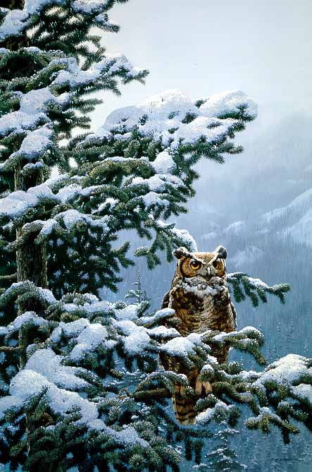 JSL – 1Wildlife – Winter Vigil – Great Horned Owl © John Seerey-Lester
