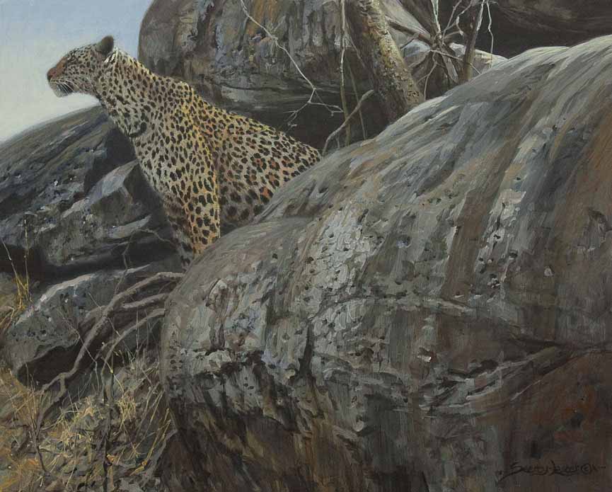 JSL – Historic Hunts, Africa – Leopard Gorge © John Seerey-Lester