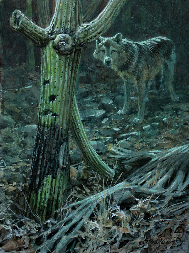 JSL – Sonora Moon – Mexican Wolf © John Seerey-Lester