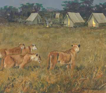 JSL – TR- Historic Hunts, Africa – Sisters at Twilight – TR © John Seerey-Lester