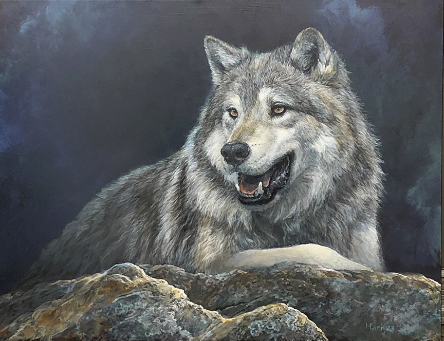 LMF – Wolf © Laura Mark-Finberg