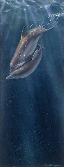 LT – Dolphin Love © Linda Thompson