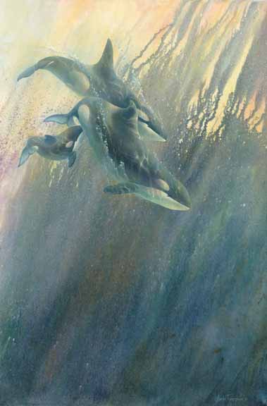 LT – Orca-stration © Linda Thompson