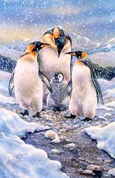 LT – Penguin Family © Linda Thompson