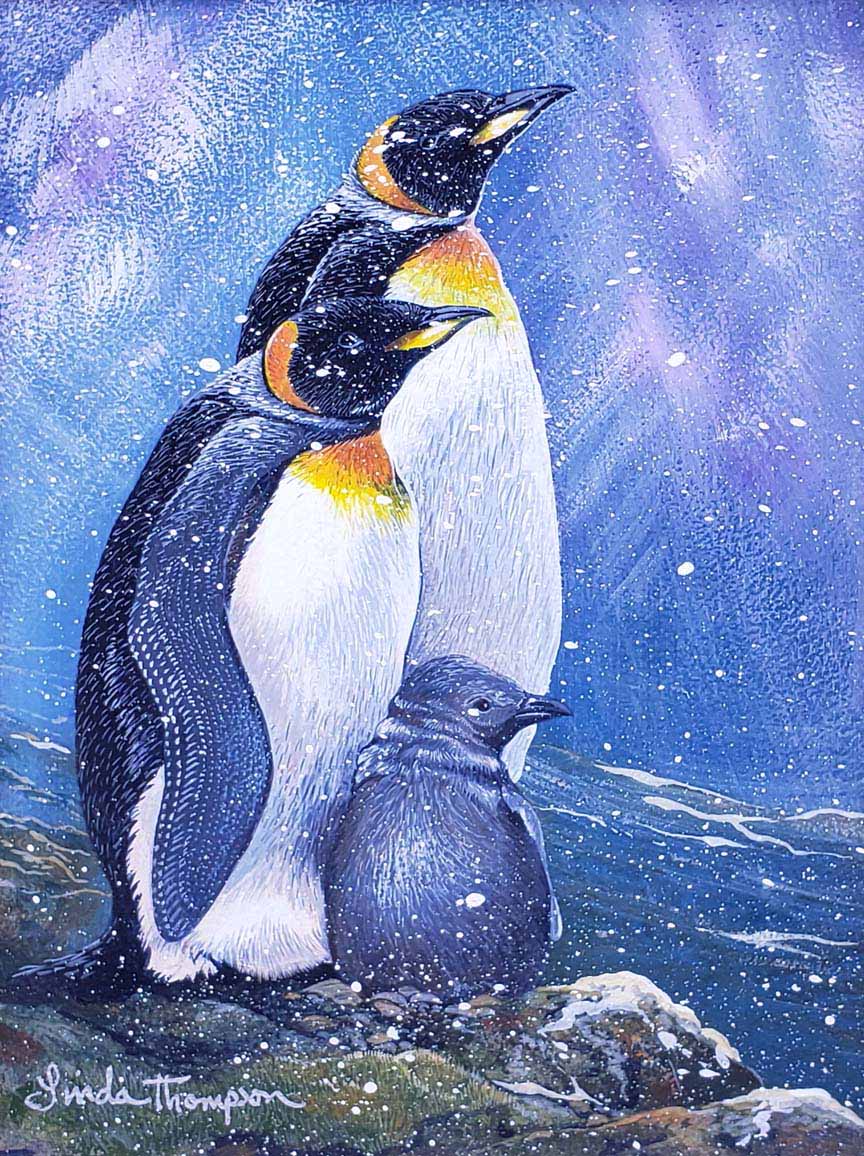 LT – Penguins © Linda Thompson