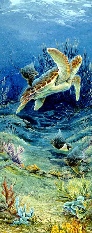 LT – Shell Game (Turtles) © Linda Thompson