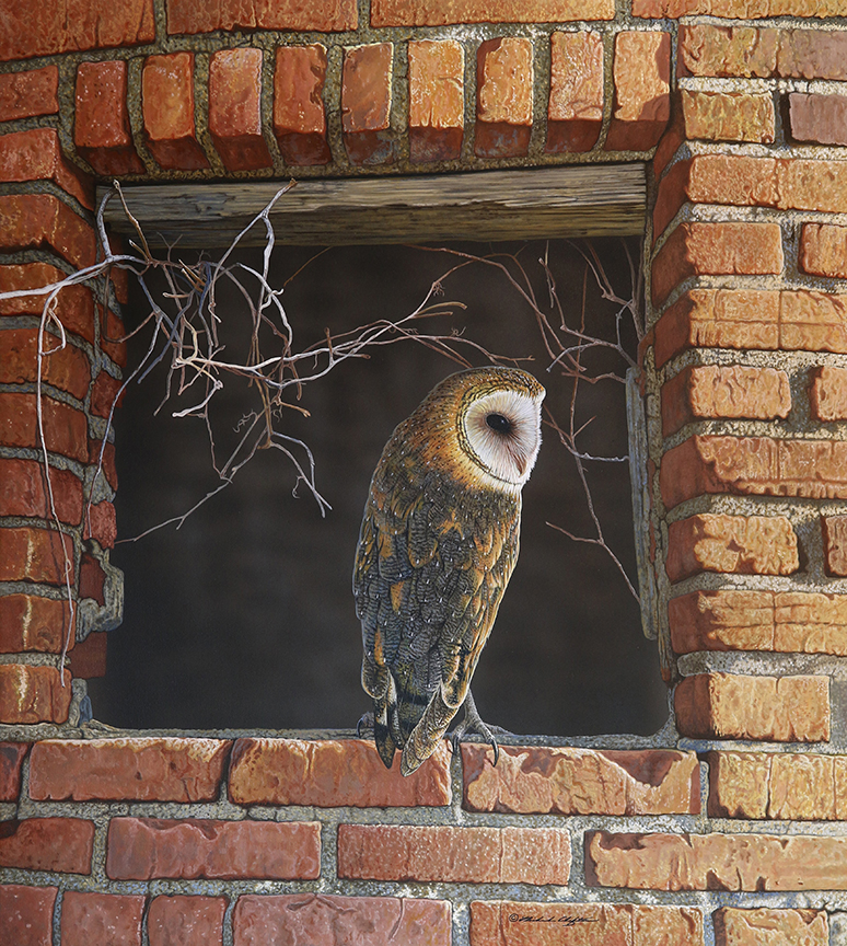 RC – Brick Silo – Barn Owl © Richard Clifton